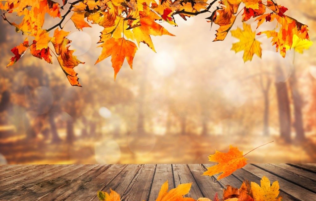 فروشگاه پوشاک بچه گانه کودک من